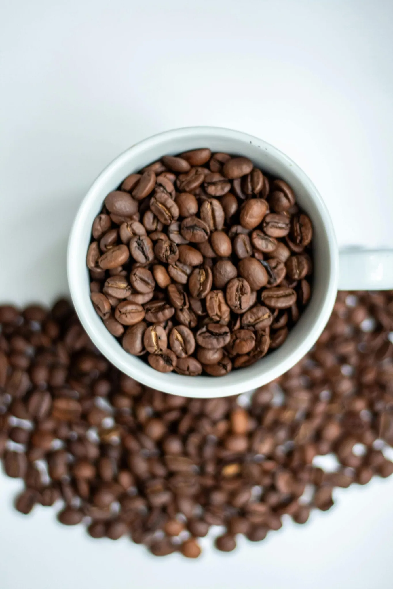 Exploring the Okinawan Memory Bean: What Type of Bean Is It?