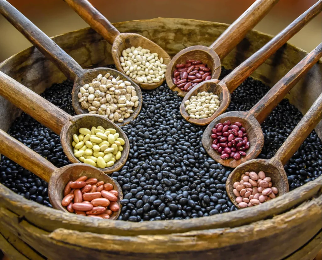 Beans: The Superfood You Need in Your Diet