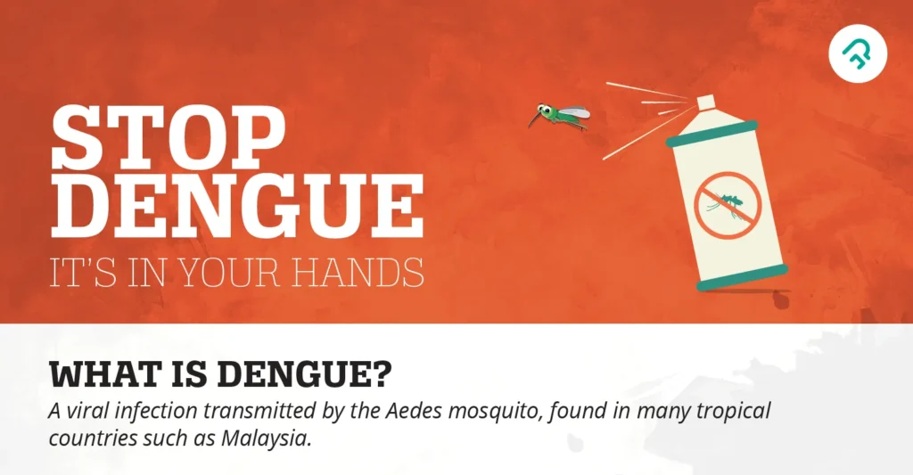 Dengue Fever Outbreak: Guidelines for Prevention