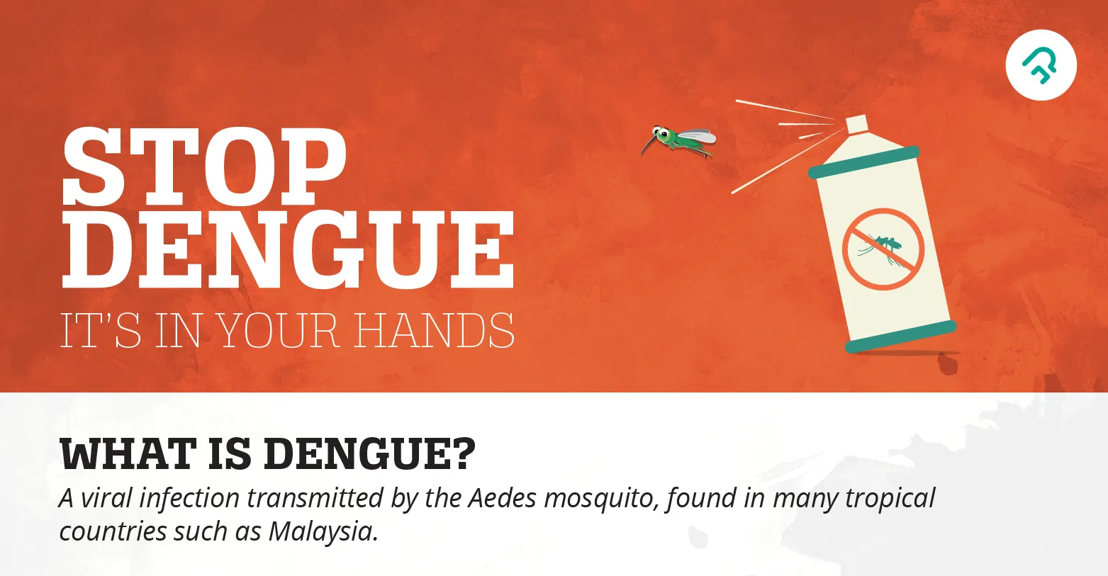 Dengue Fever Outbreak: Guidelines for Prevention