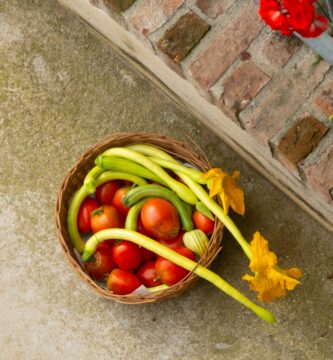 Exploring Mediterranean Diet Meal Plans