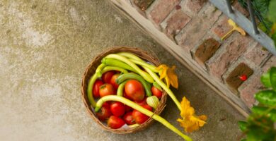 Exploring Mediterranean Diet Meal Plans