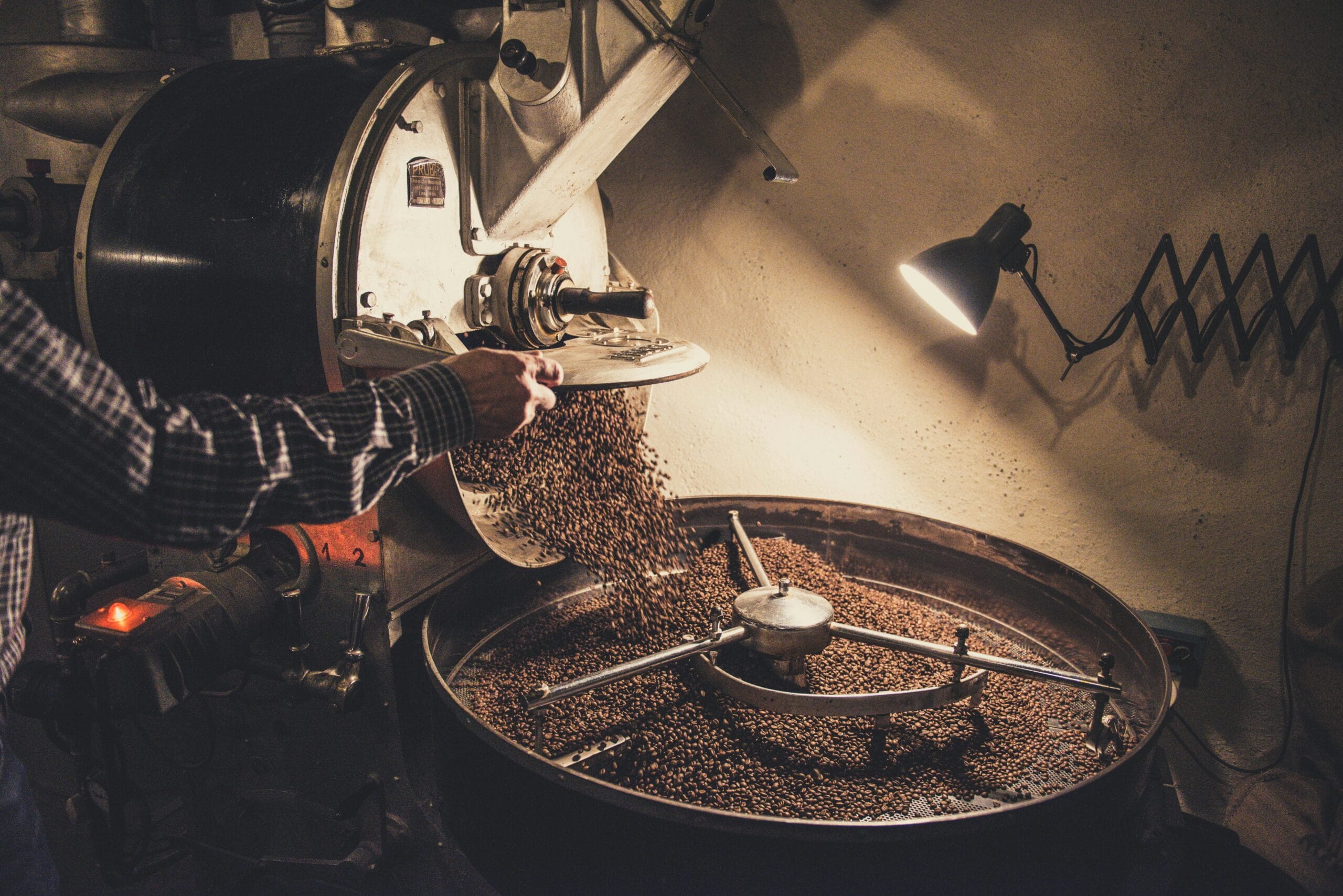 Exploring the Role of Beans in Longevity Diets Worldwide – Dietary choices