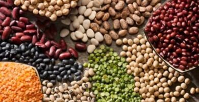Why Beans Are a Nutrient Powerhouse for Your Health