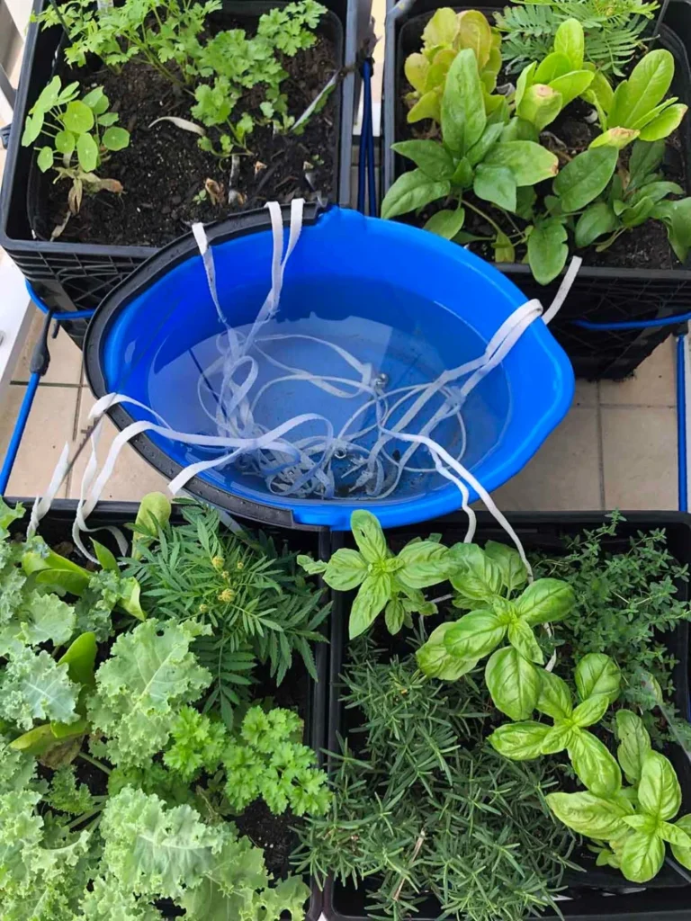 DIY Water Systems: A Sustainable Solution for Your Home