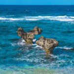 Exploring Genetic Distinctions: Are Okinawans Different from Mainland Japanese?