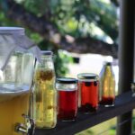 Exploring Mitolyn: Can It Improve Gut Health for Sustainable Weight Management?