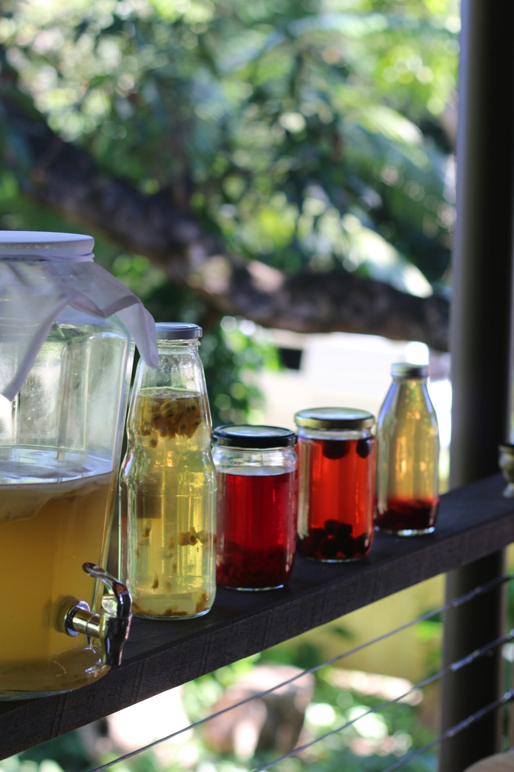 Exploring Mitolyn: Can It Improve Gut Health For Sustainable Weight Management?