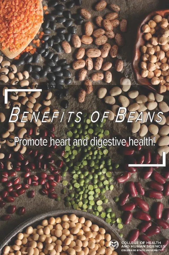 From Weight Loss to Heart Health: The Surprising Benefits of Beans From Weight Loss to Heart Health: The Surprising Benefits of Beans