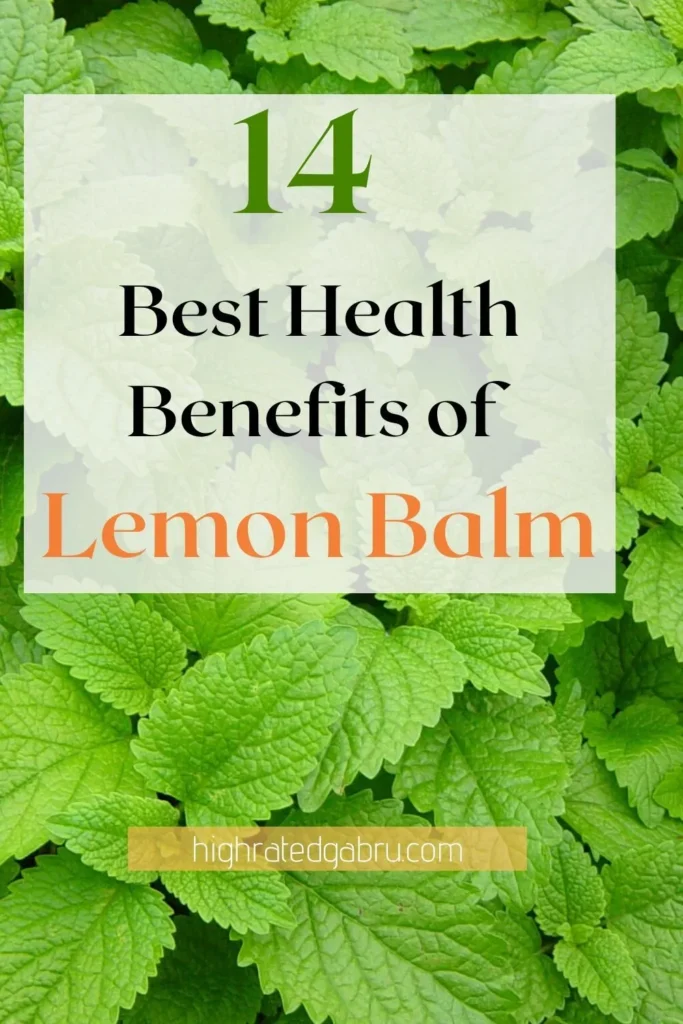 Lemon Balm: The Superfood for Slimming Down Lemon Balm: The Superfood for Slimming Down