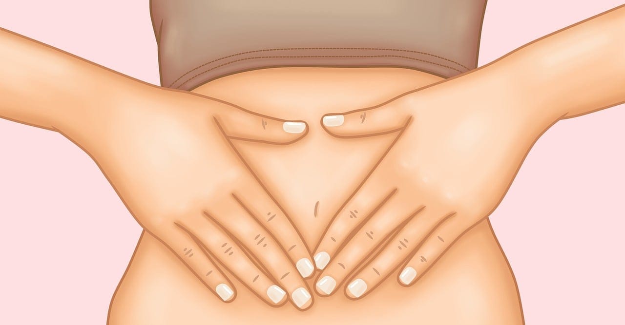 Mitolyn And Its Role In Enhancing Digestion And Gut Health