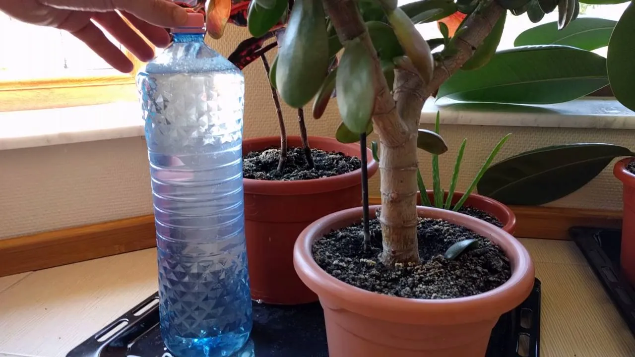 Save Money and Go Green with These DIY Water System Projects