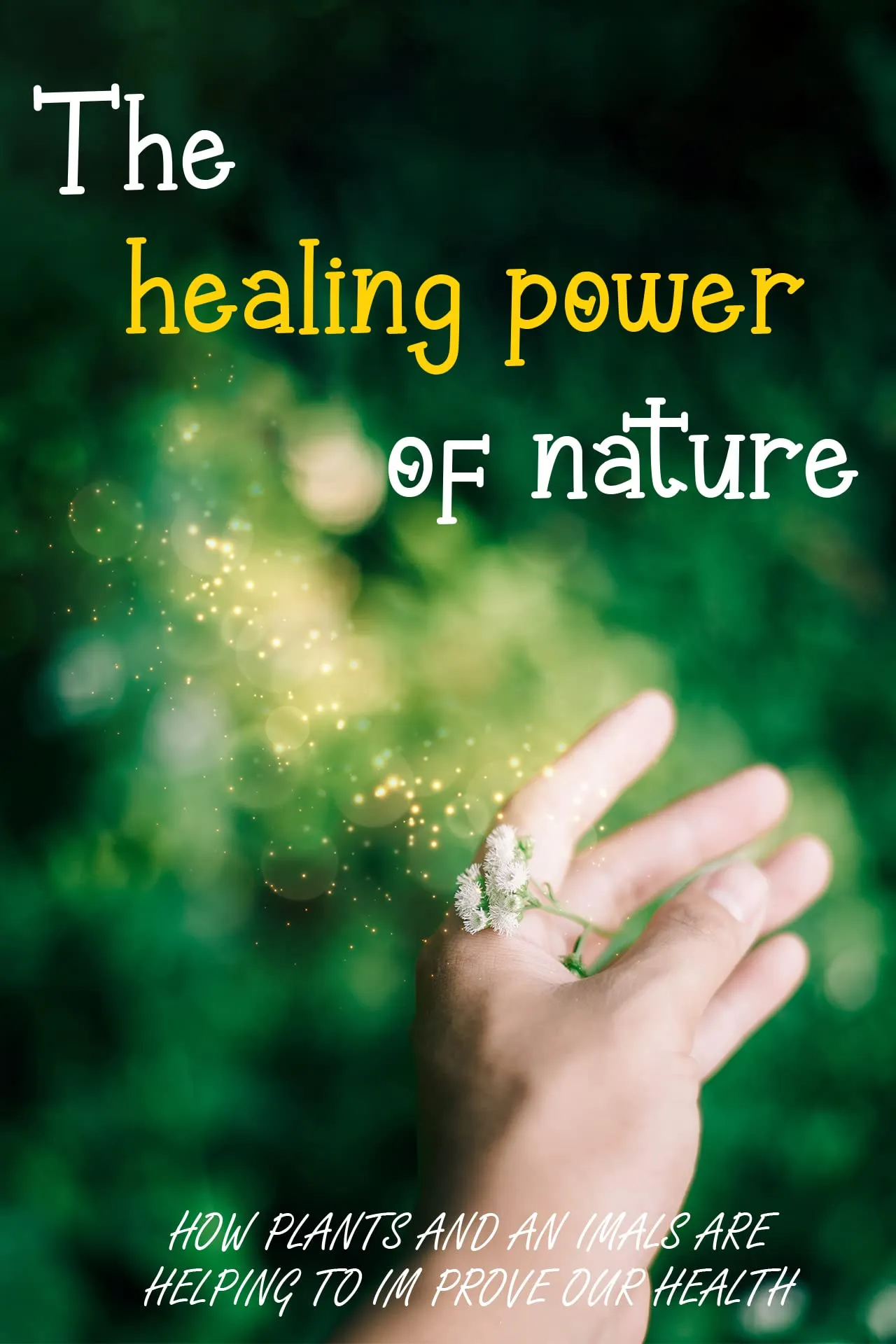The Healing Power of Nature: Discovering the Benefits of Natural Remedies