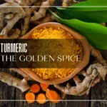 The Healing Power of Turmeric: How This Golden Spice Can Benefit Your Health
