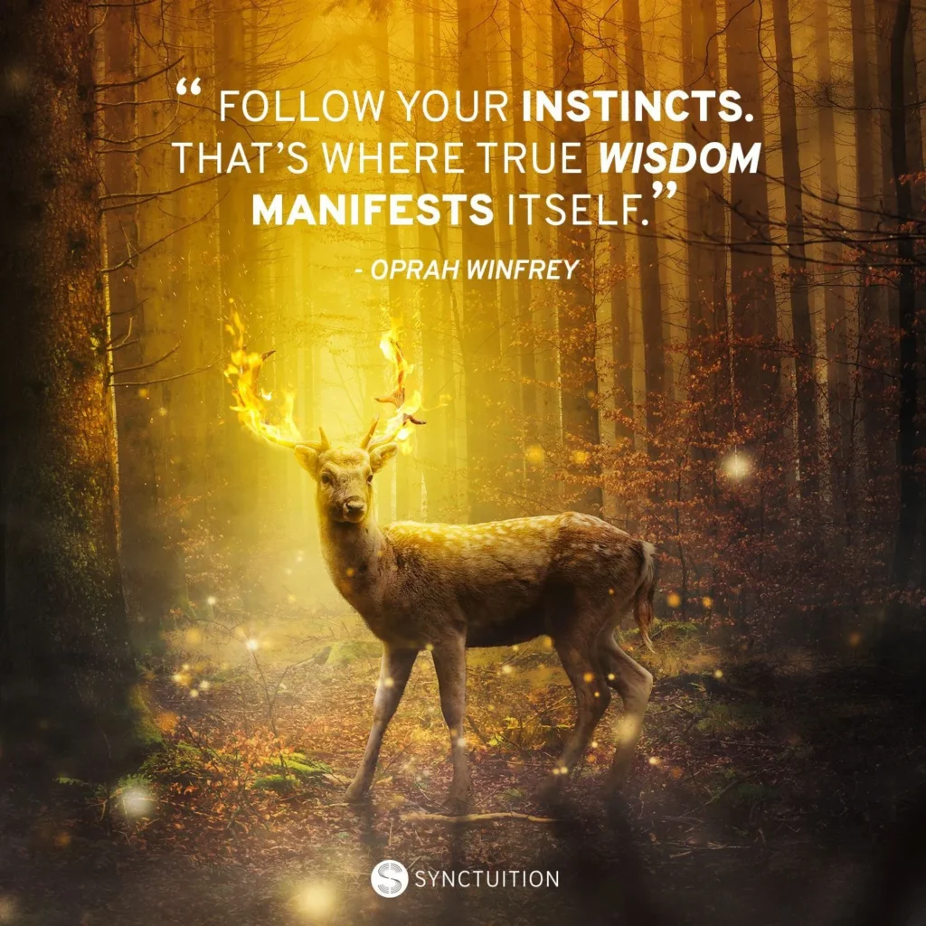 Unlocking the Power of Instincts: How Our Natural Abilities Shape Our Decisions