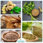 Boost Your Digestion with These Top Natural Remedies