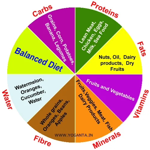 The Key to a Healthy Lifestyle: The Benefits of a Balanced Diet
