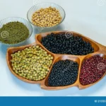 The Power of Protein: How Beans Provide Essential Nutrients