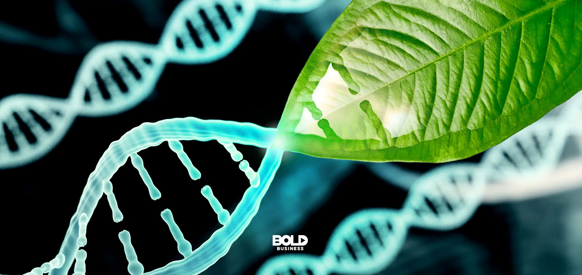 Unlocking the Secrets of Longevity: How Science is Prolonging Life