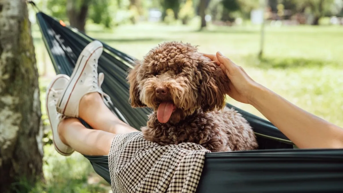 11 Ways to Automate Your Life (and Get Back More Free Time)