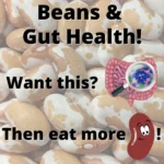 Beans: The Key to a Healthier Heart and Gut
