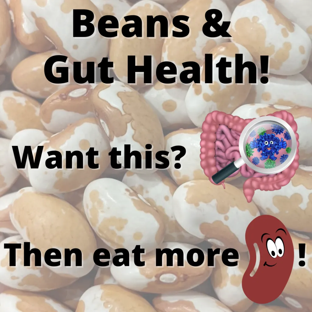 Beans: The Key to a Healthier Heart and Gut Beans: The Key to a Healthier Heart and Gut