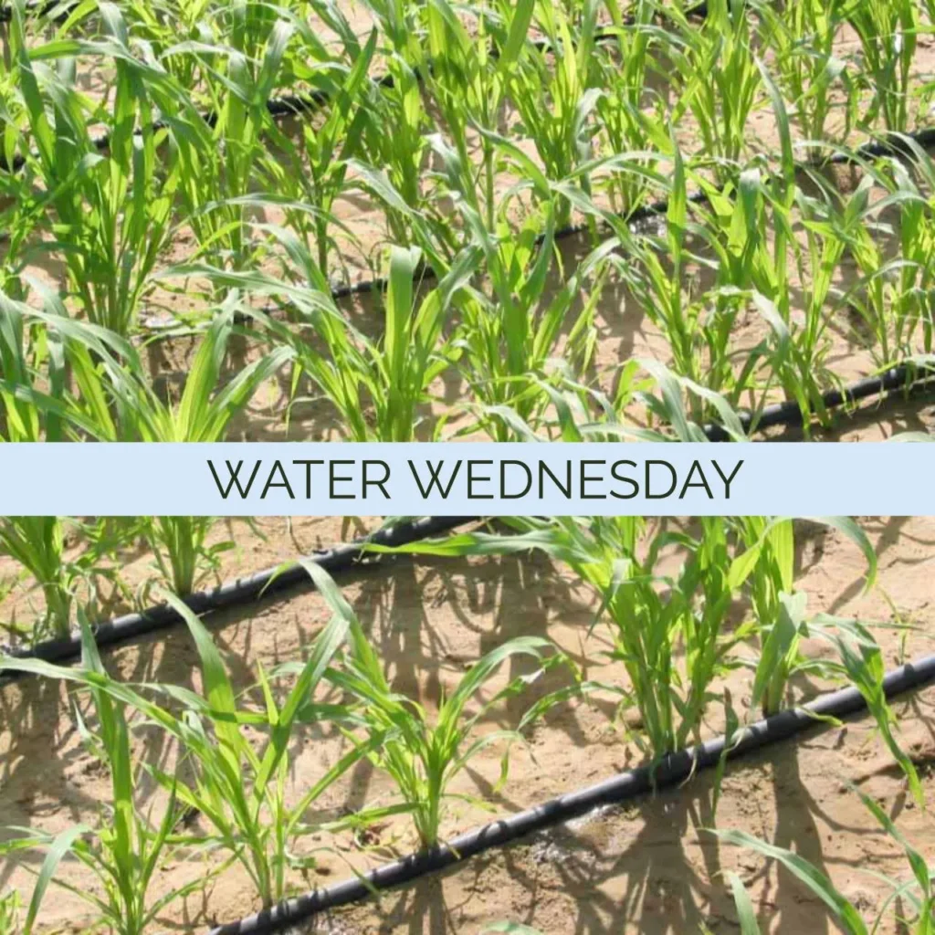 Combatting Drought with Sustainable Water Systems
