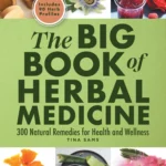 Discovering the Healing Properties of Natural Remedies