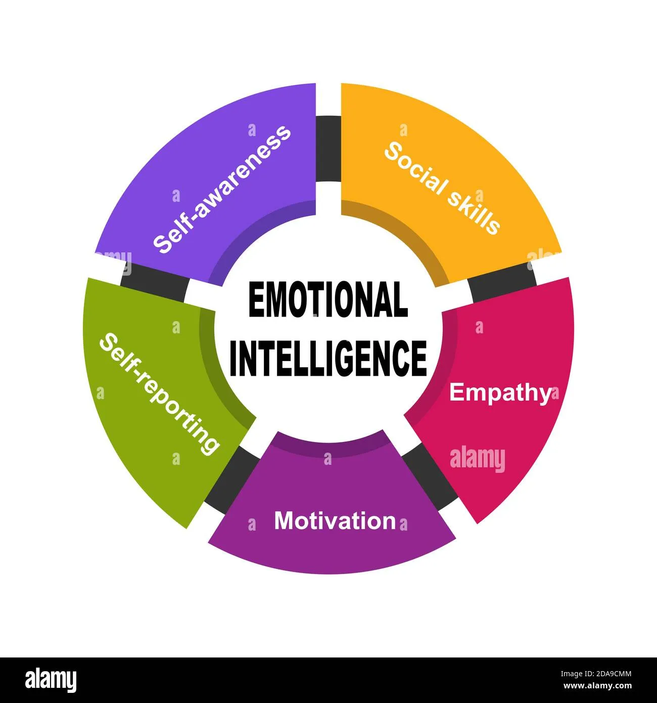 Exploring the Power of Emotional Intelligence