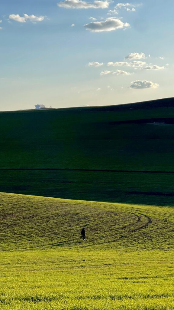 Recommended Body Fat Percentage for Women’s Long-Term Health