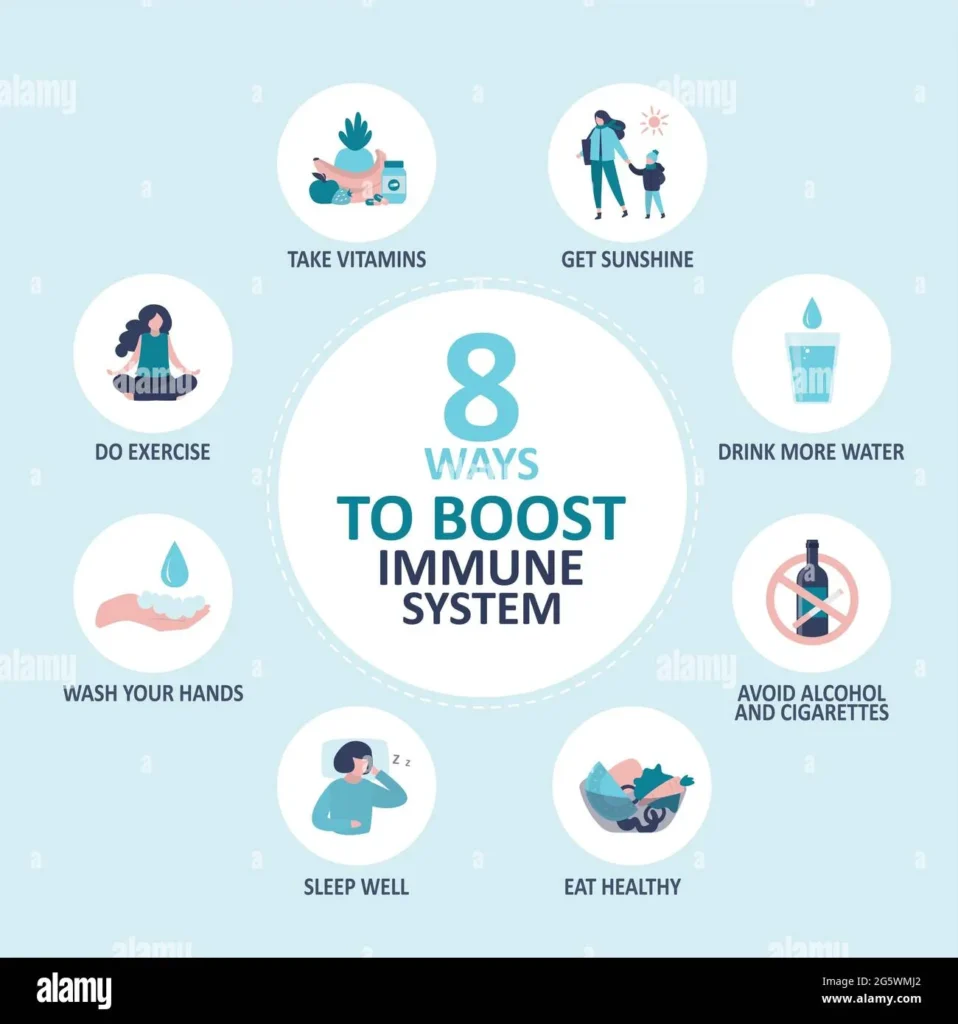 The Importance of Immune Support: How to Stay Healthy All Year Round