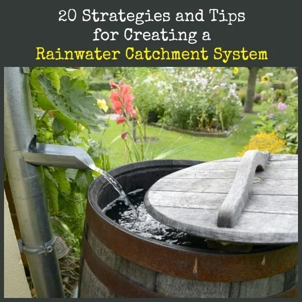 Why Every Homeowner Should Consider a Self-Sufficient Water System