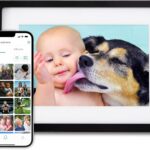 Skylight Frame – WiFi Digital Picture Frame Customer Support, Touch Screen Digital Photo Frame with Easy Setup, Photo Gifts for Parents and Grandparents – 10 Inch Black