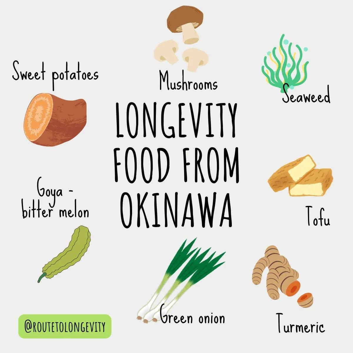 Discover the Secrets of Longevity with Okinawan Breakfast