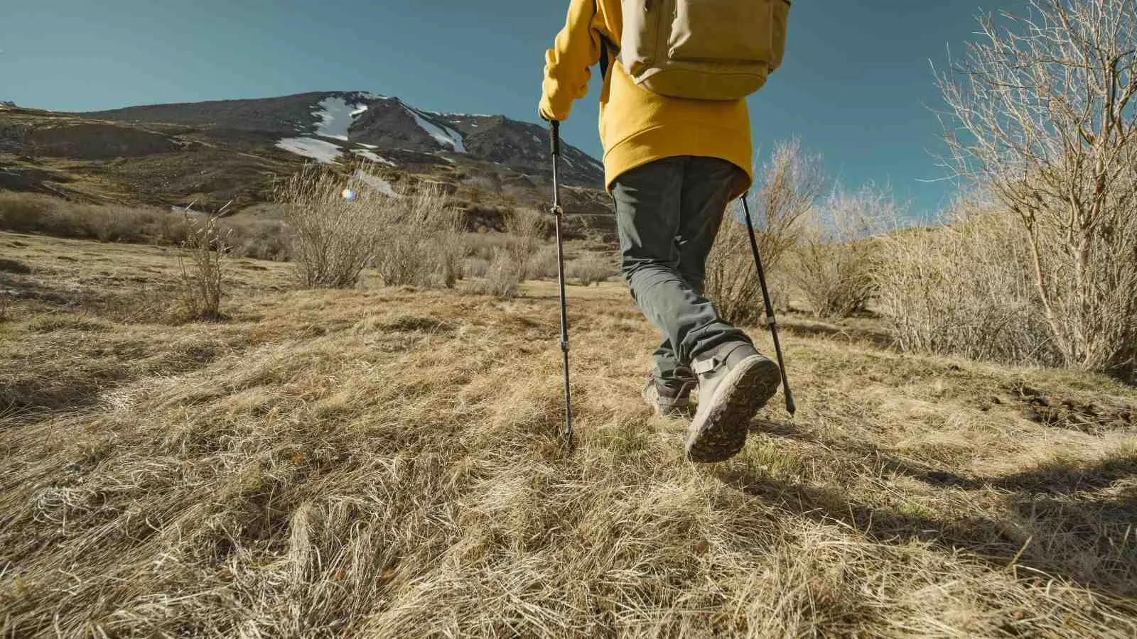 Attempted uphill strolling for weight reduction? Right here’s the way it can aid you