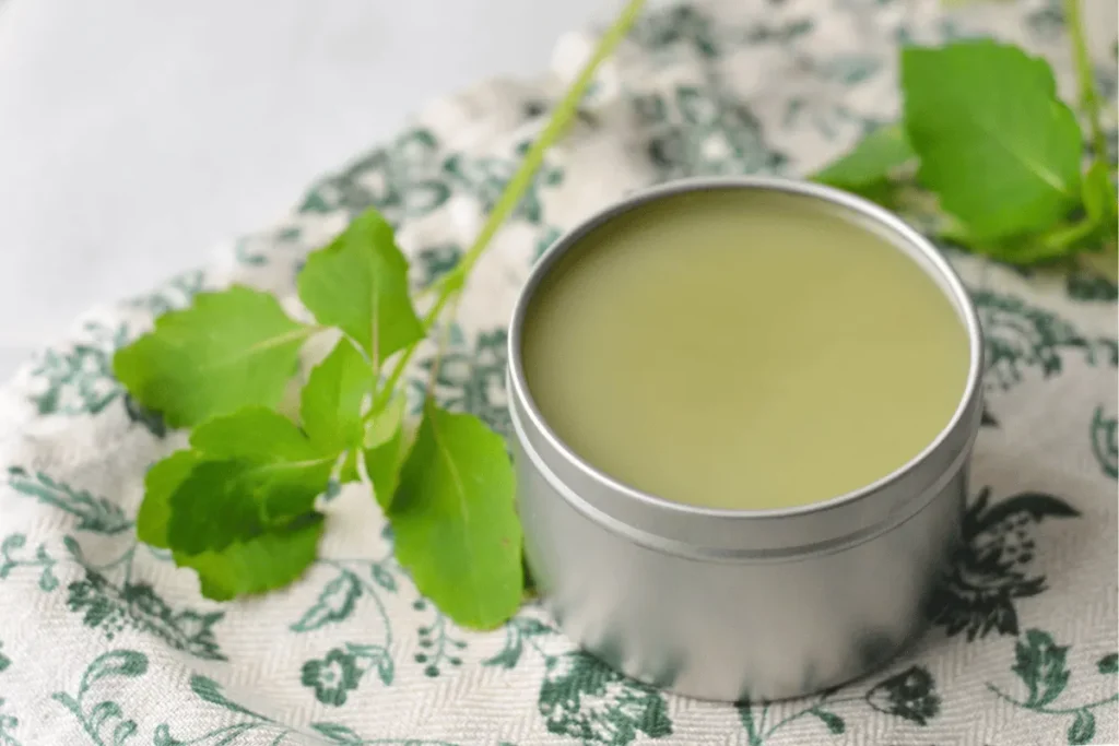 DIY Jewelweed Salve For Poison Ivy (and Extra!)
