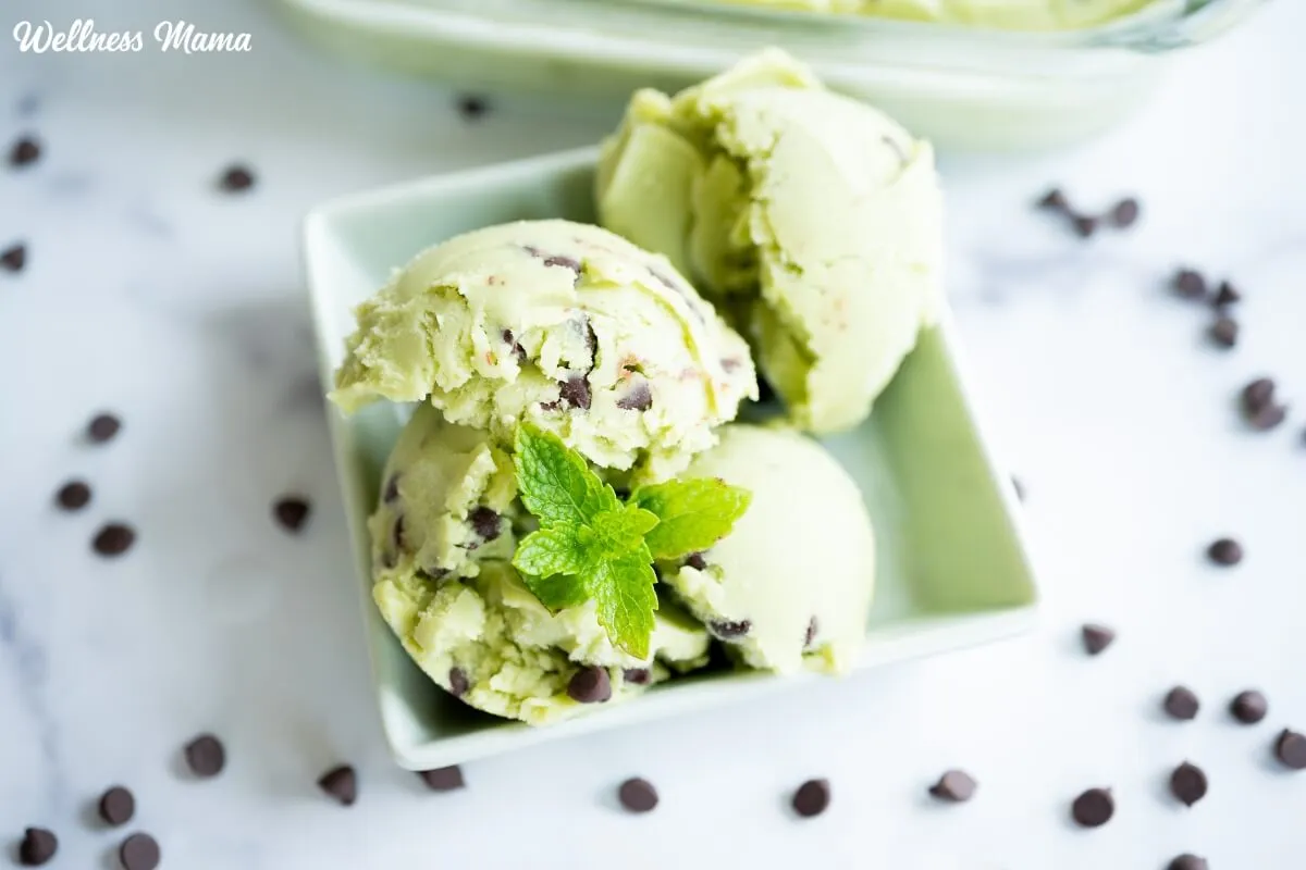 Home made Mint Chocolate Chip Ice Cream Recipe (Dairy Detached & Paleo)