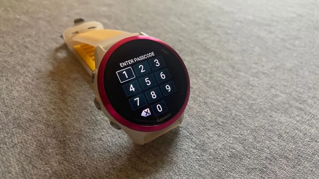 How one can Prepared a Passcode on Your Garmin Guard