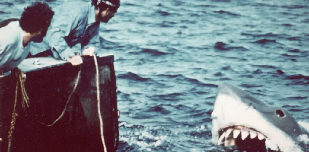 50 years upcoming ‘Jaws,’ researchers have retired the man-eater fantasy and unhidden extra about sharks’ superb biology