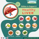 The Power of Plants: How Certain Compounds Can Boost Liver Function