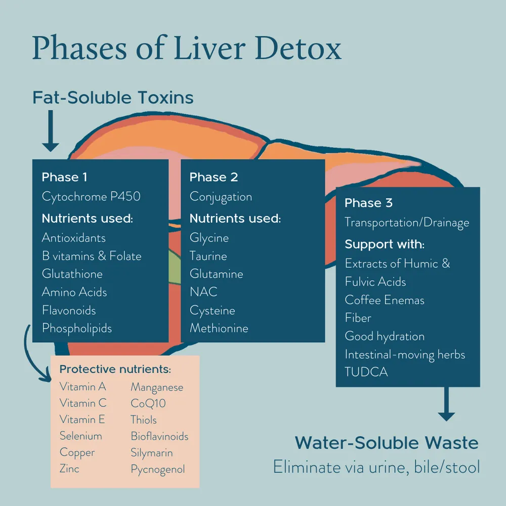 Detoxify Your Liver and Slim Down with These Simple Tips