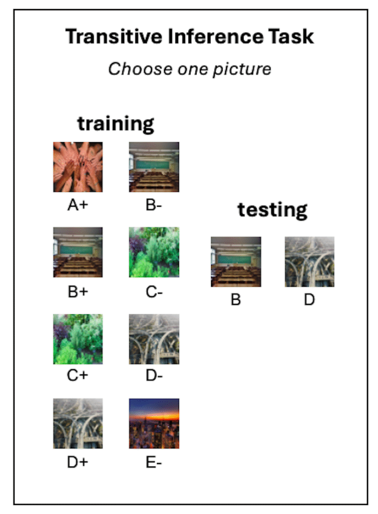 People and animals can each suppose logically − however checking out what sort of good judgment they’re the usage of is hard