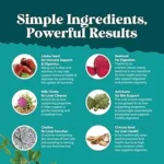 Cleanse Your Liver Without Harsh Chemicals: Natural Remedies for a Healthy Liver