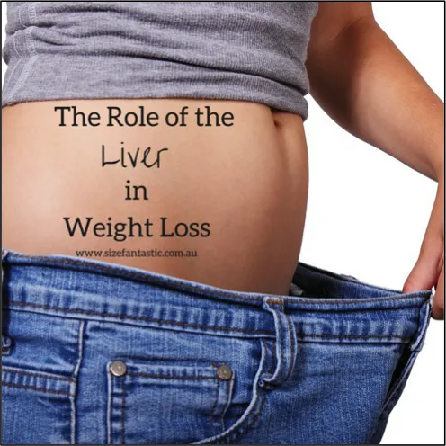 The Liver’s Role in Fat Burning: How to Optimize Your Liver for Weight Loss