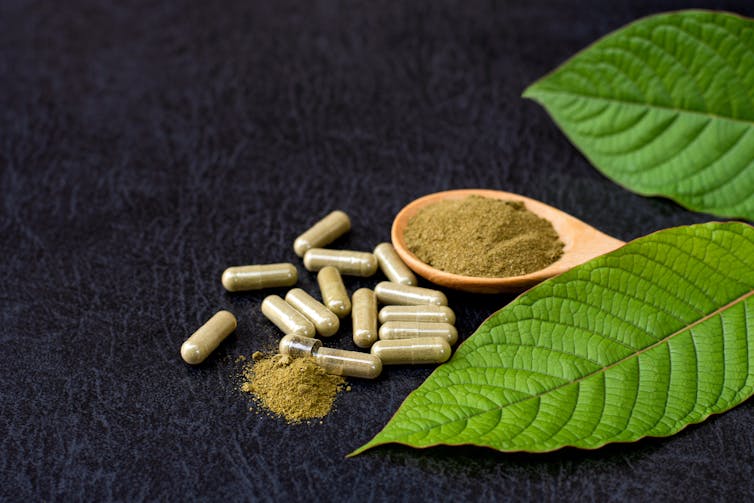 Balancing kratom’s doable advantages and dangers − brandnew regulation in Colorado seeks to reduce hurt Balancing kratom’s doable advantages and dangers − brandnew regulation in Colorado seeks to reduce hurt