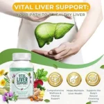 The Benefits of Plant-Based Liver Support: A Comprehensive Guide