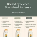 How to Support Your Liver for Better Metabolic Function