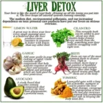 Natural Ways to Flush Liver Toxins Safely and Effectively