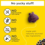 The right way to Assemble Flu-Busting Elderberry Gummies
