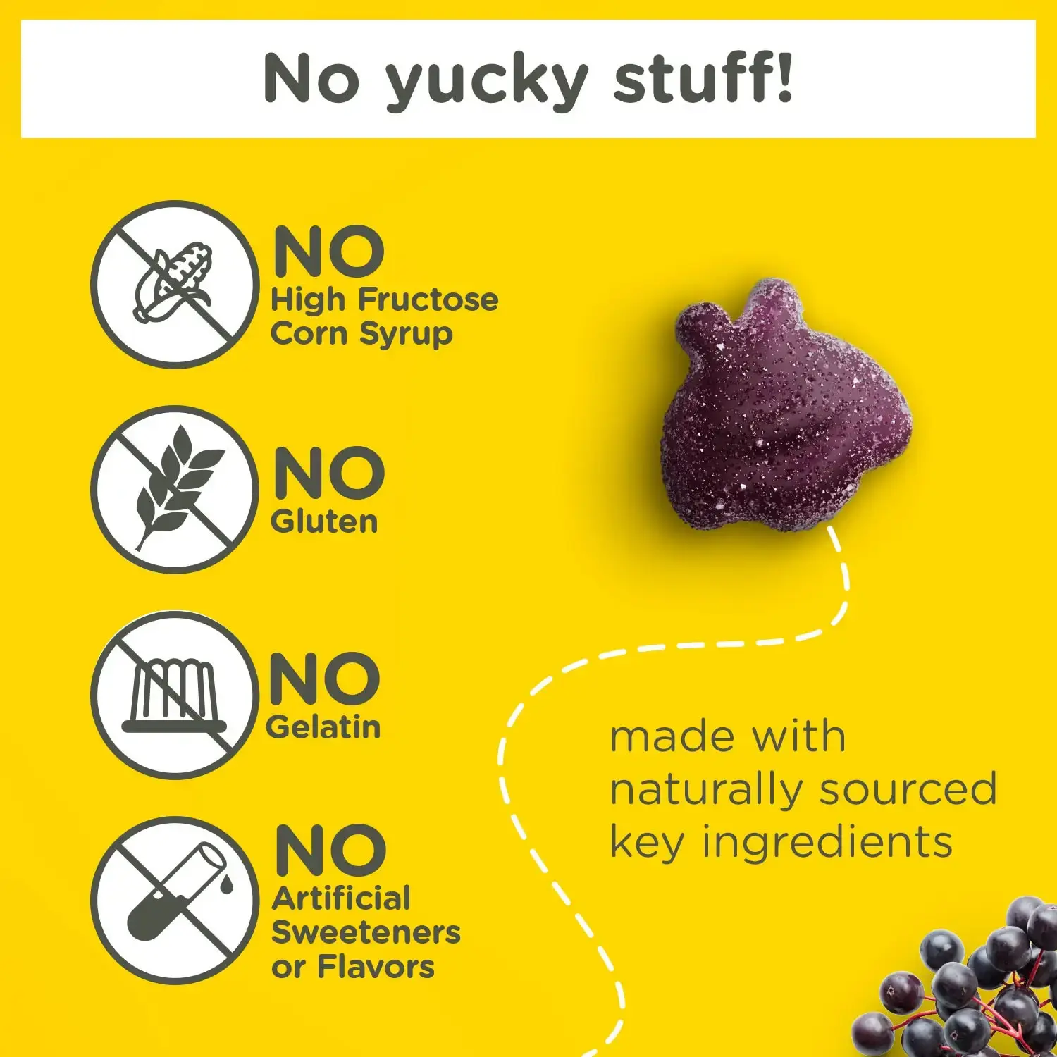 The right way to Assemble Flu-Busting Elderberry Gummies